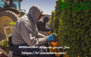 عمال تفاويض بالسعودية 0555443041